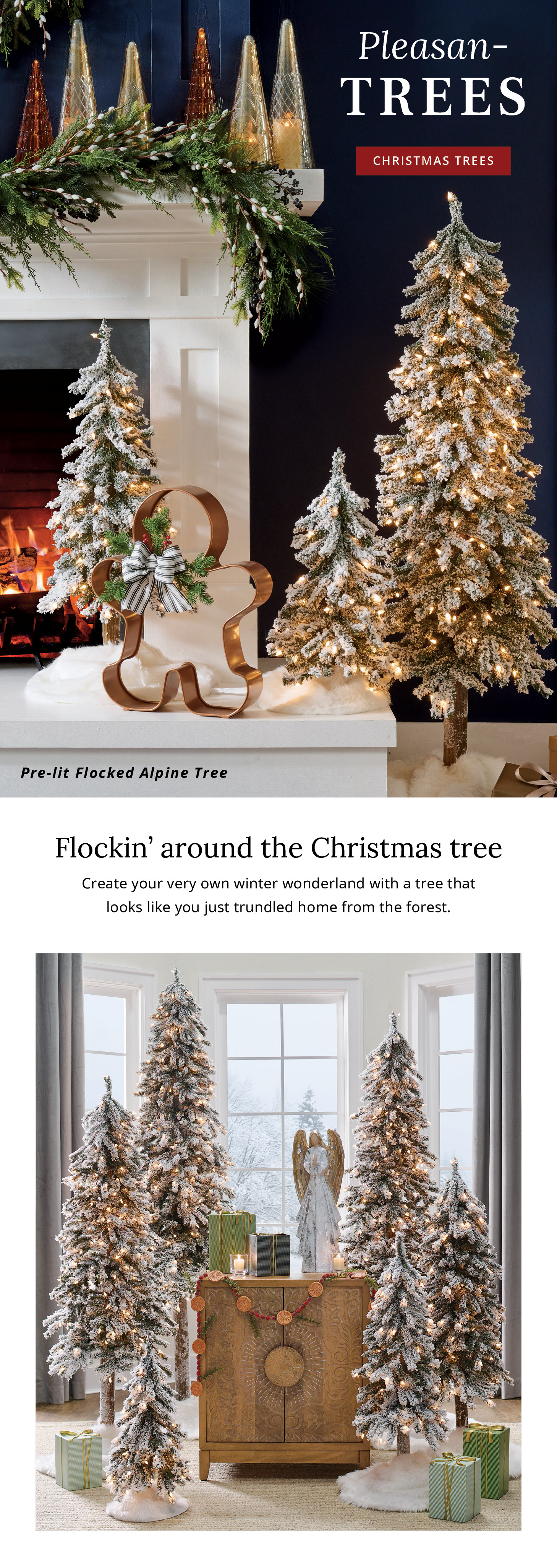 Christmas Trees