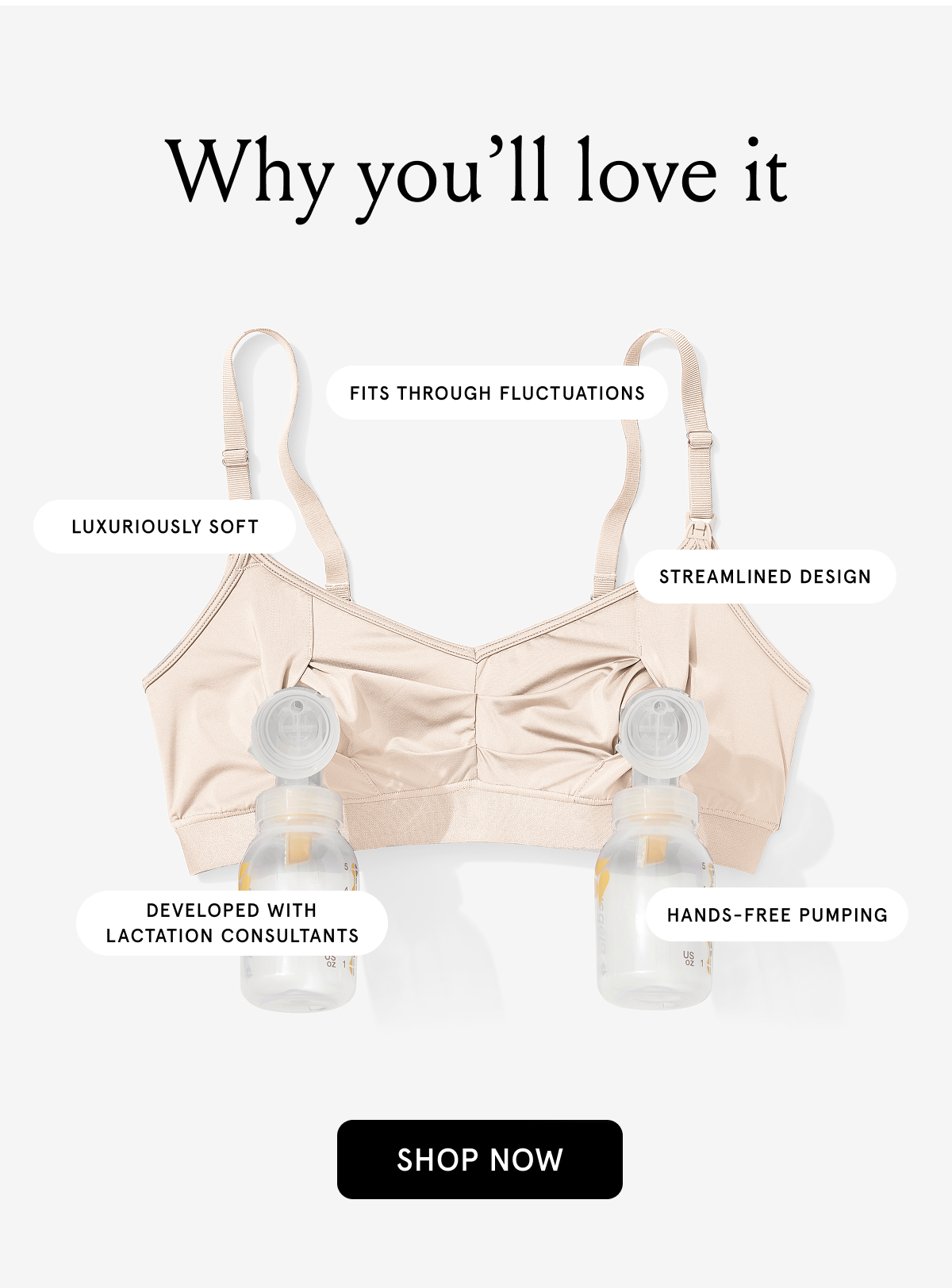 Why you'll love it