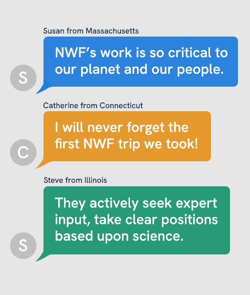 Susan from Massachusetts: “NWF’s work is so critical to our planet and our people.