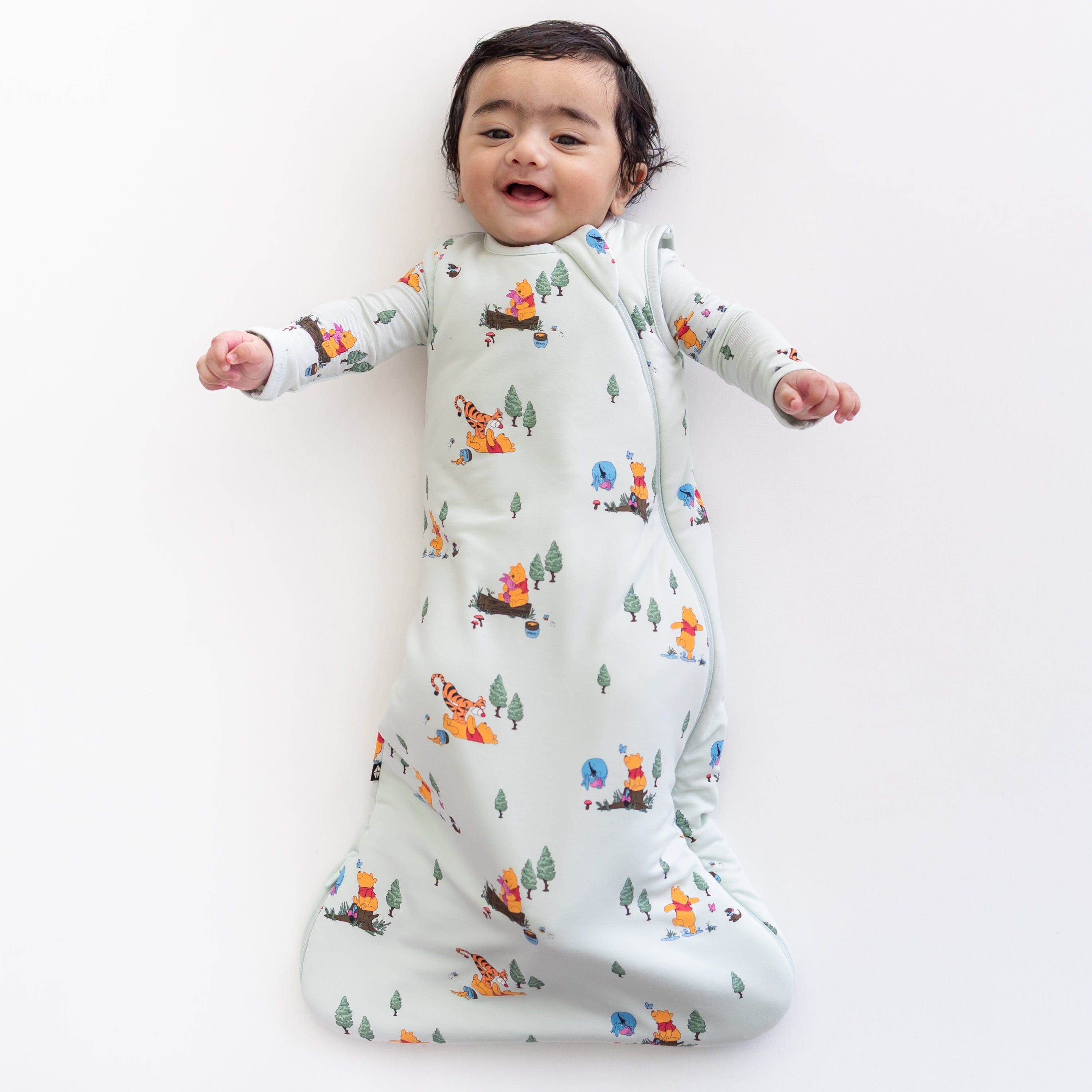 Image of Sleep Bag in Winnie the Pooh Hundred Acre Wood 1.0