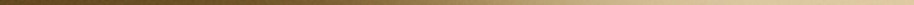 Gold Divider
