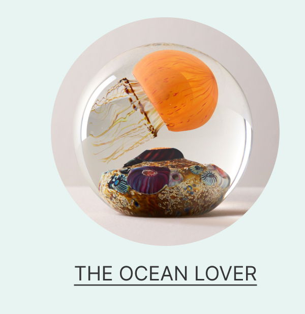 the ocean lover