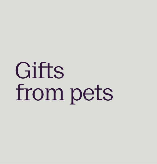Gifts from pets
