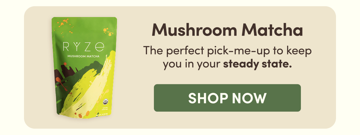 Mushroom Matcha | The perfect pick-me-up to keep you in your steady state. | Shop Now