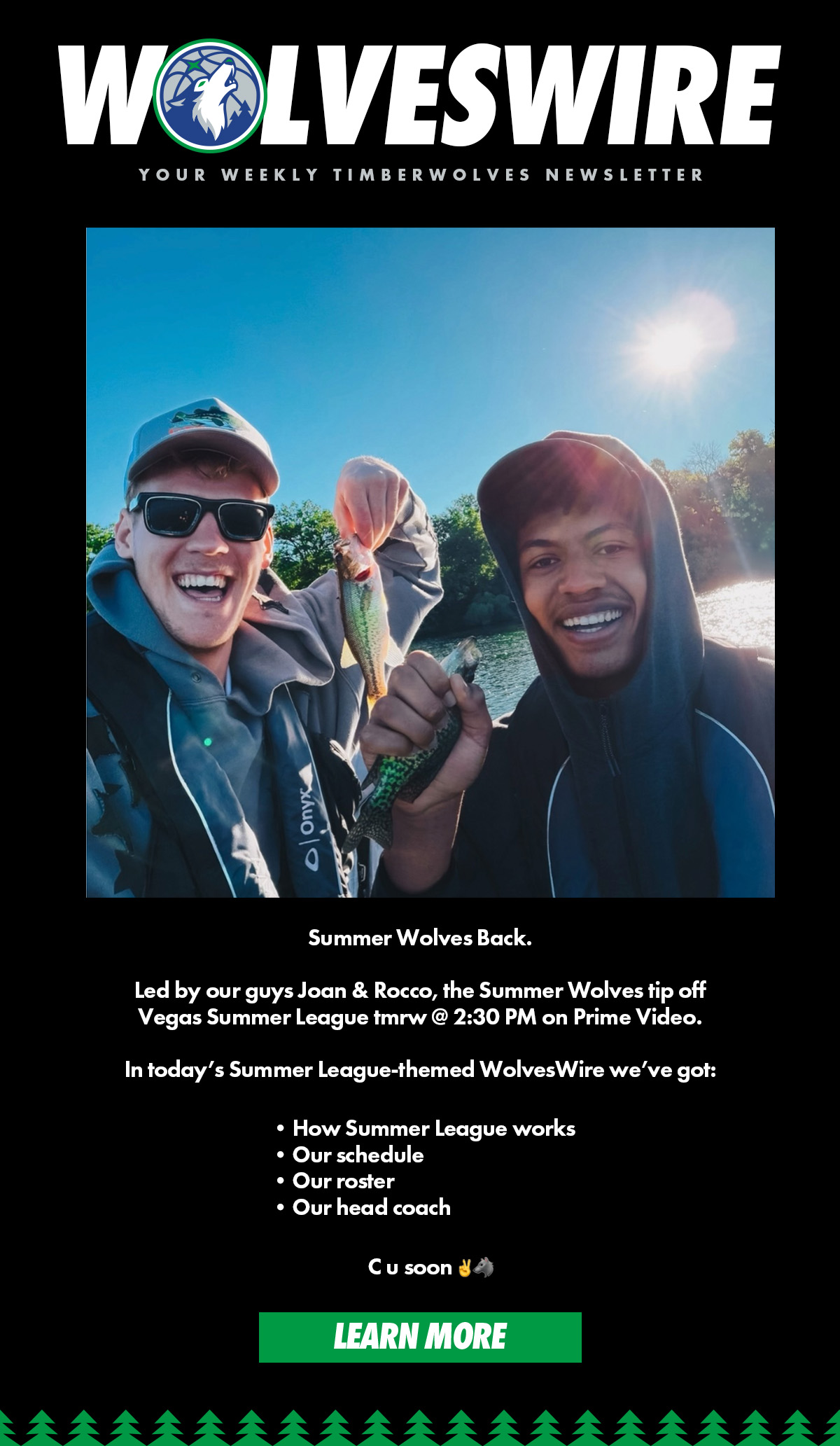 Summer Wolves Back