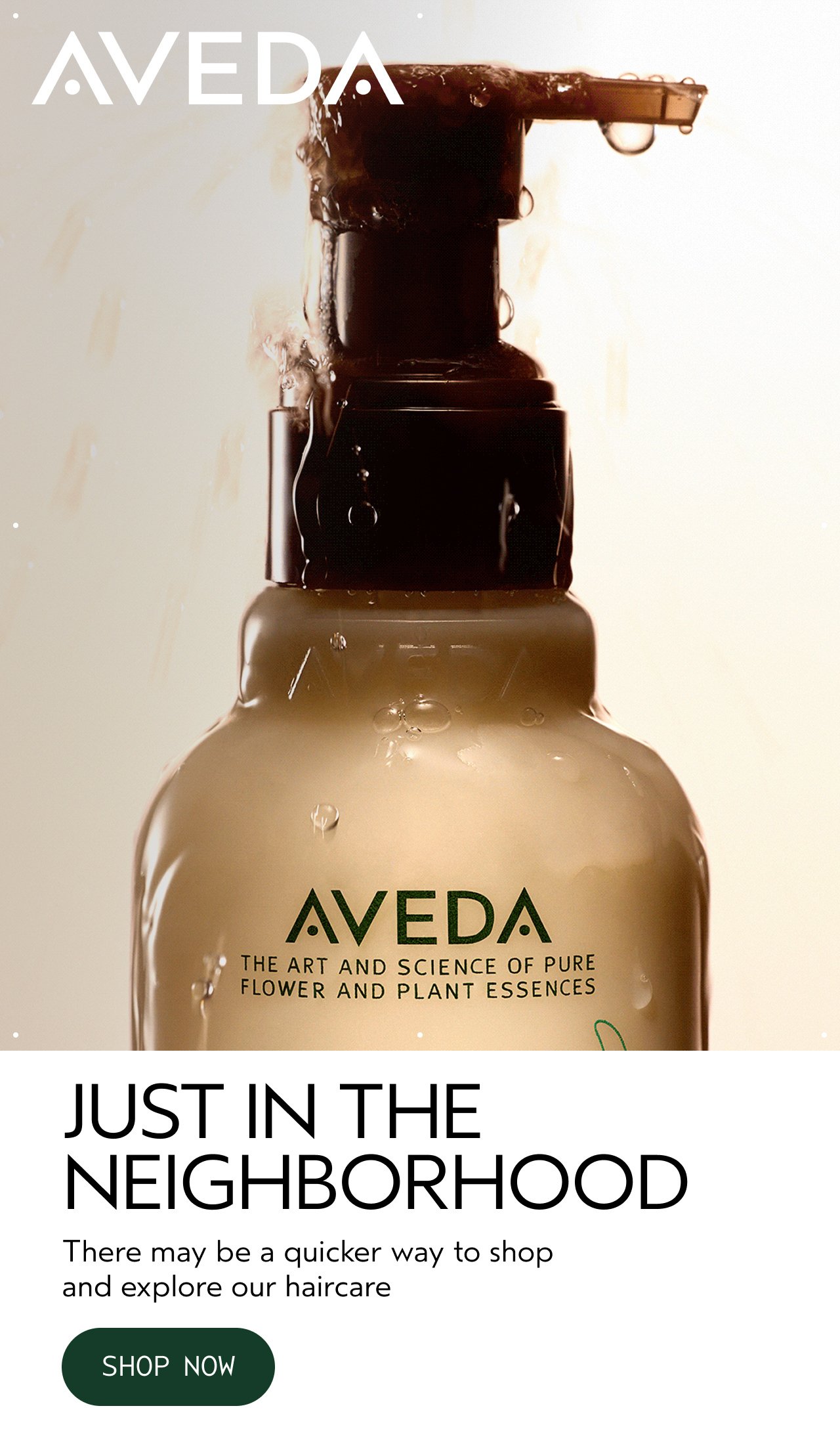 AVEDA | JUST IN THE NEIGHBORHOOD | There may be a quicker way to shop and explore our haircare | SHOP NOW