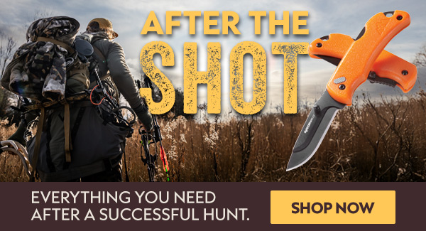 After the Shot