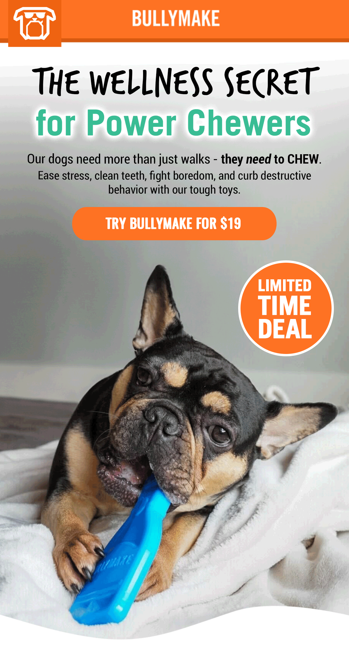 Bullymake Dog Toy Subscription Box