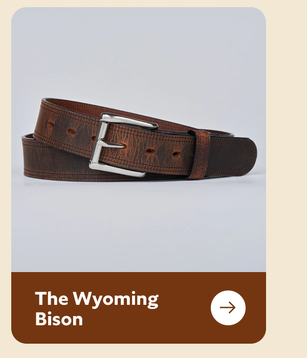 The Wyoming Bison