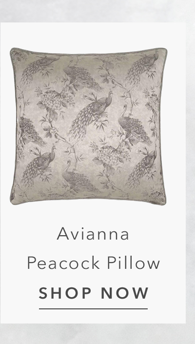Avianna Regency Silver Peacock Print Decorative Throw Pillow - 20x20