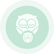 Owlet360