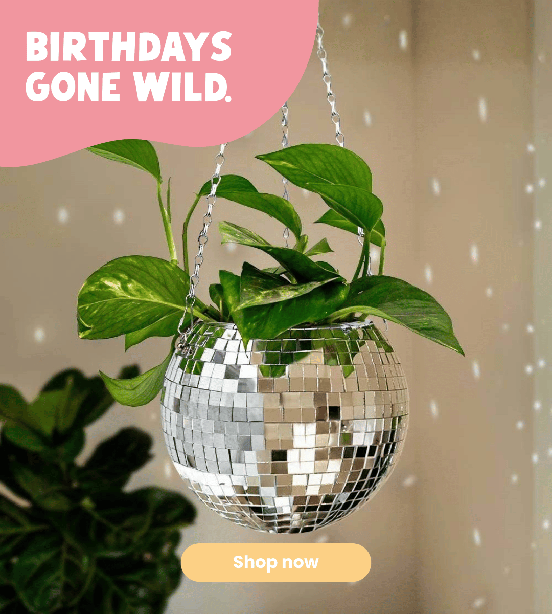 Birthday Gifts