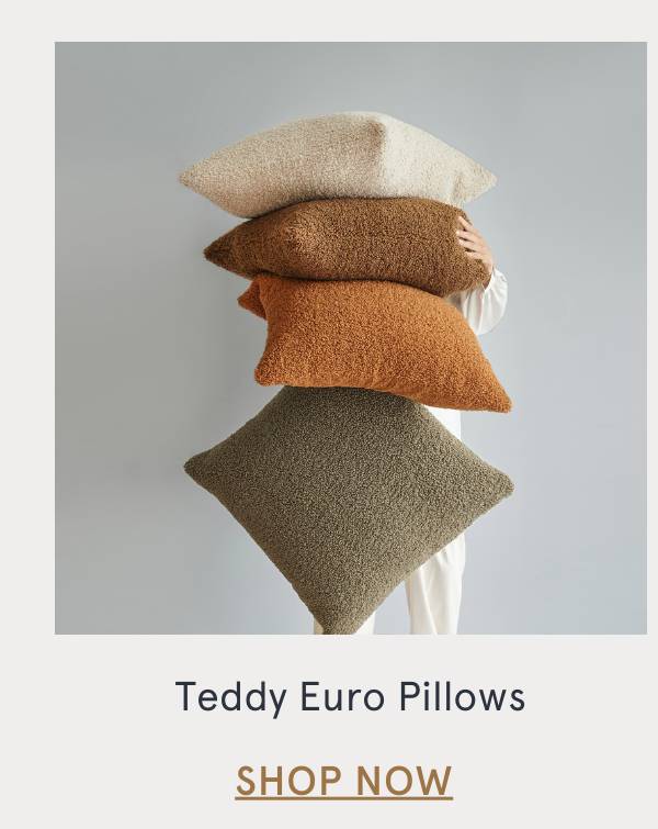 Teddy Pillows