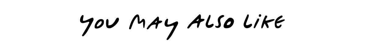 you may also like