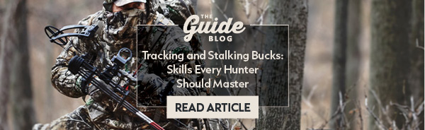 Tracking and Stalking Bucks: Skills Every Hunter Should Master