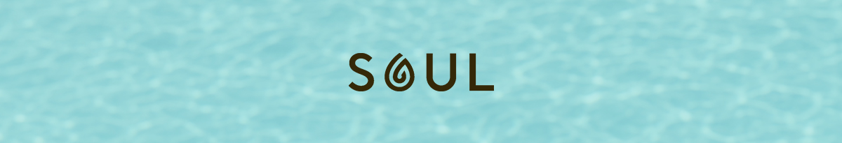 Soul   