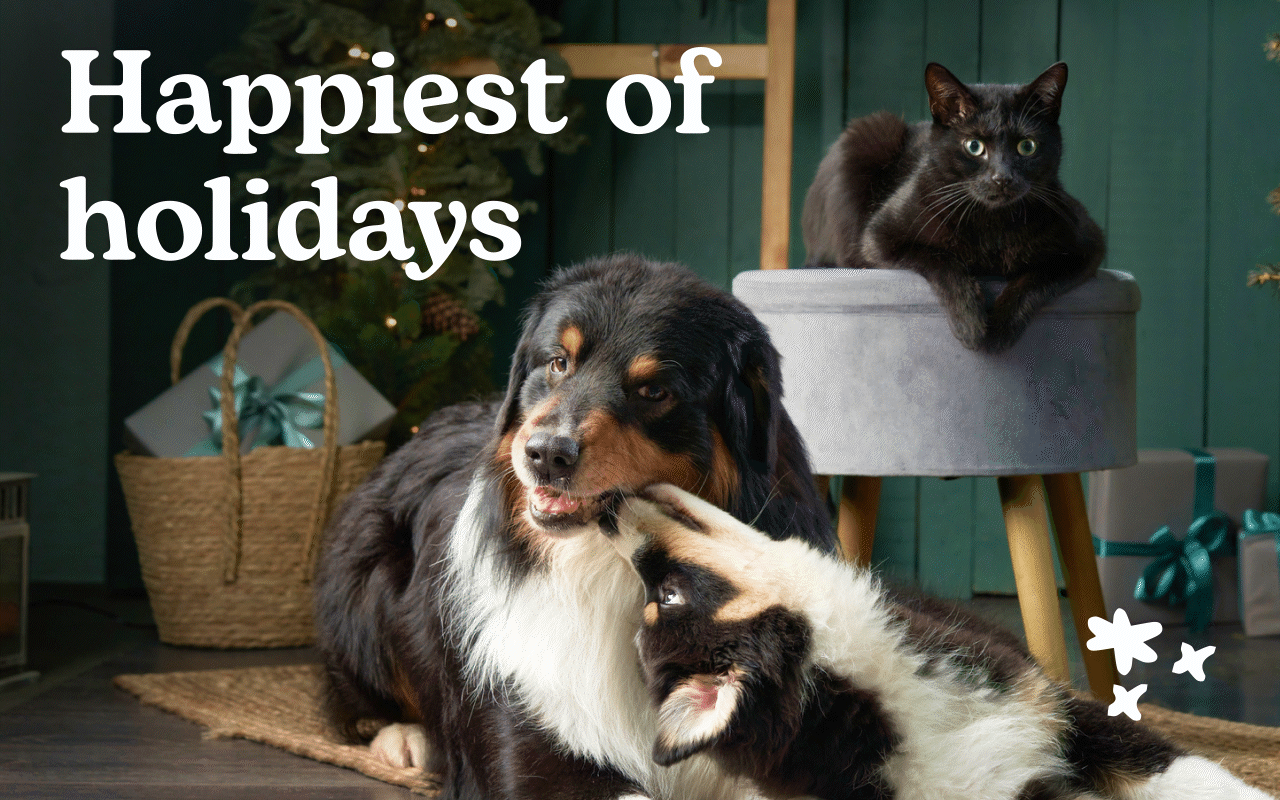 Happy holidays!