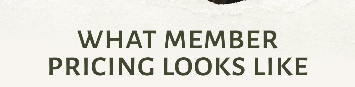 WHAT MEMBER PRICING LOOKS LIKE