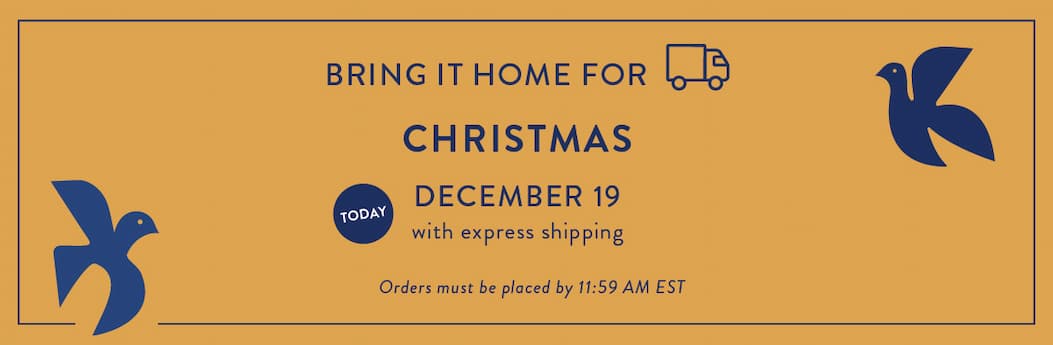 Bring it home for the Holidays