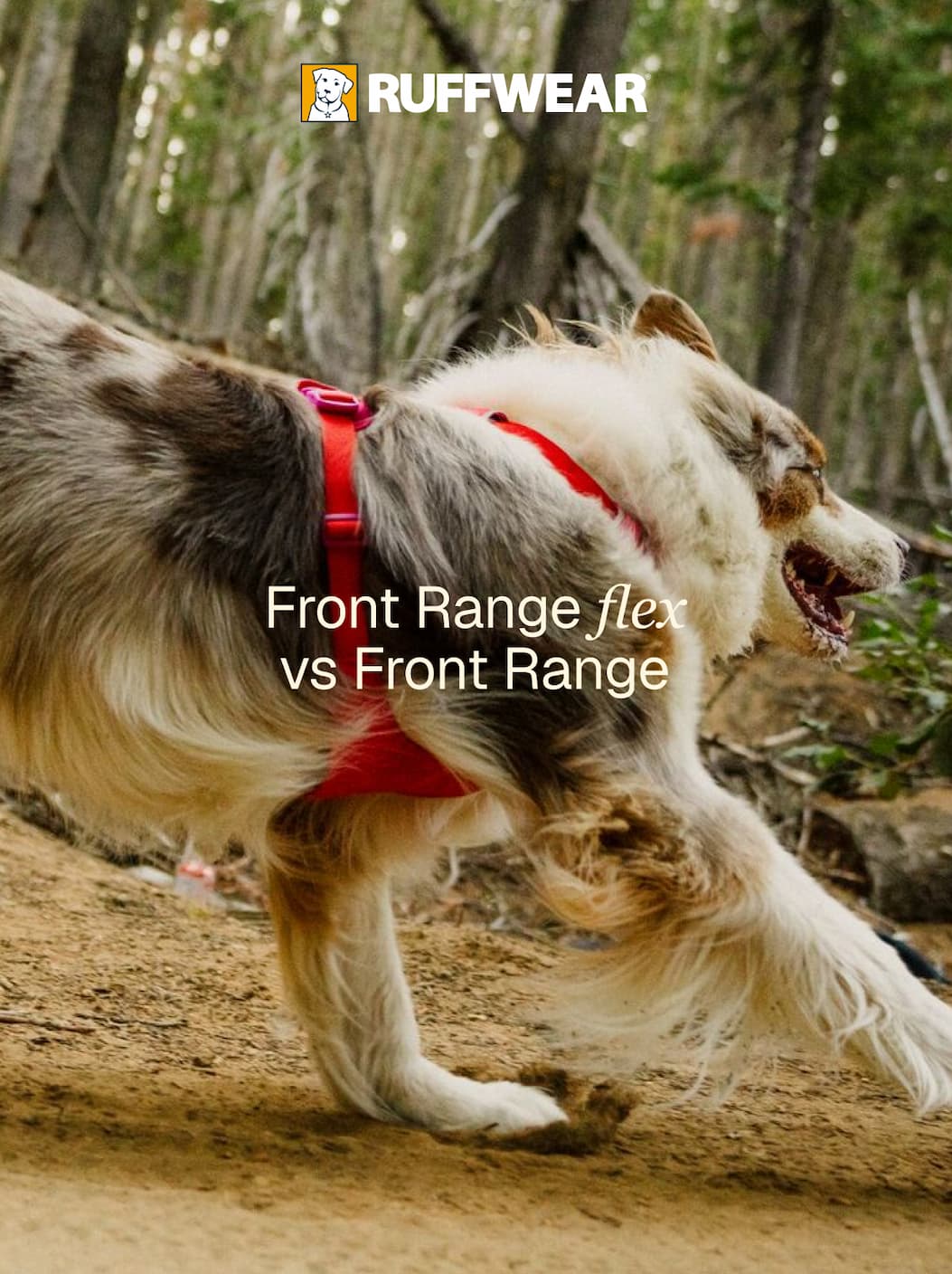The Front Range Flex is the next generation of the original Front Range. Here's how - and why - they're different.