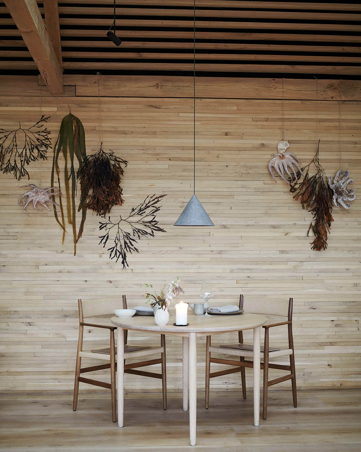 noma