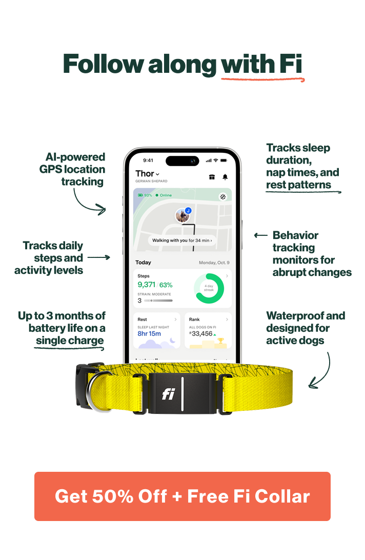 Follow along with Fi: AI-powered GPS location tracking. Tracks daily steps and activity levels. Up to 3 months of battery life on a single charge. Tracks sleep duration, nap times, and rest patterns. Behavior tracking monitors for abrupt changes. Waterproof and designed for active dogs. Get 50% Off + Free Fi Collar