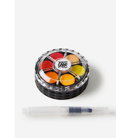 paint discs