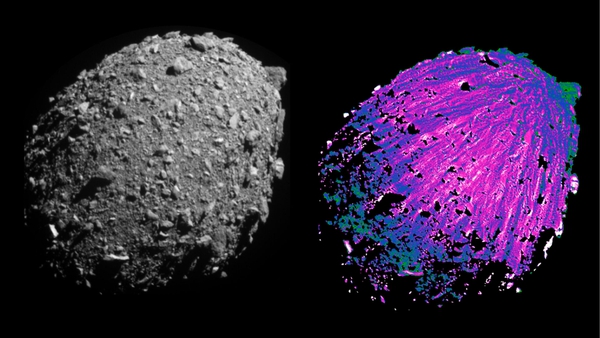 black and white image of asteroid next to pink and purple colorized version