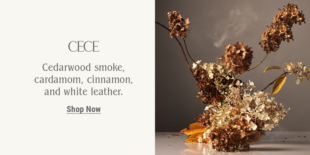 CECE — Cedarwood smoke, cardamom, cinnamon, and white leather.