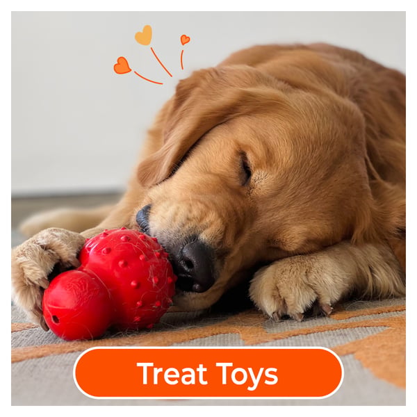 treats toys