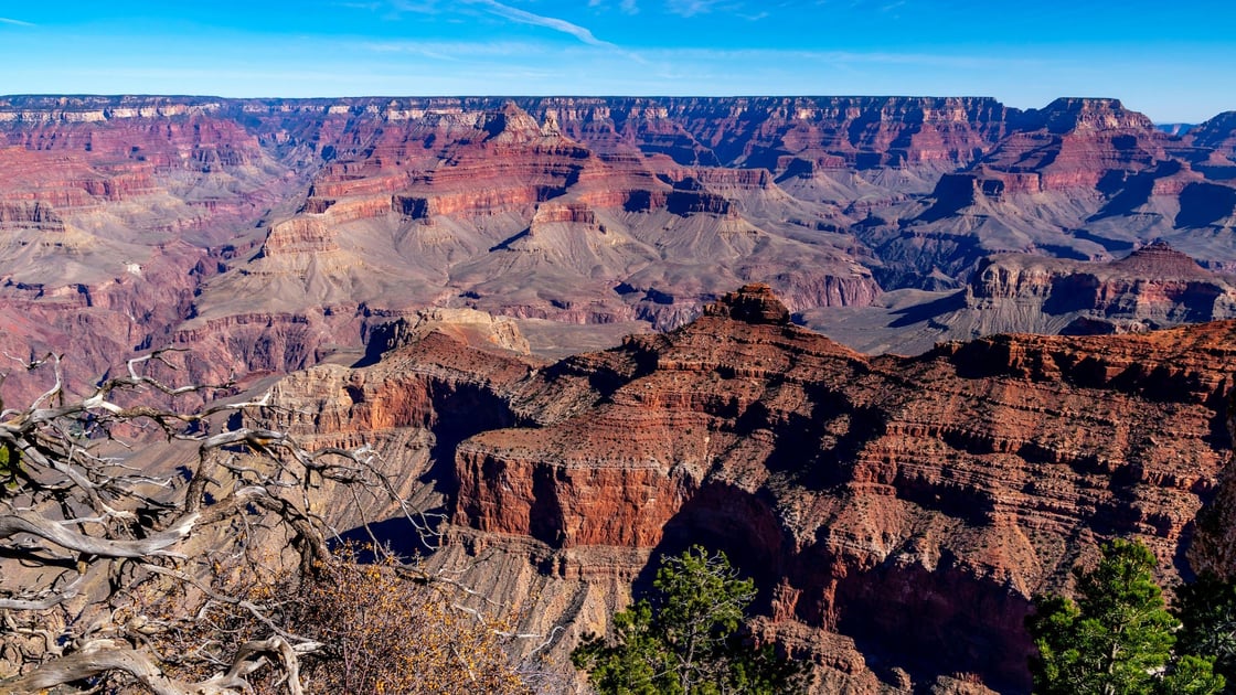 barth-bailey-8wA6EDxxsSE-unsplash-2