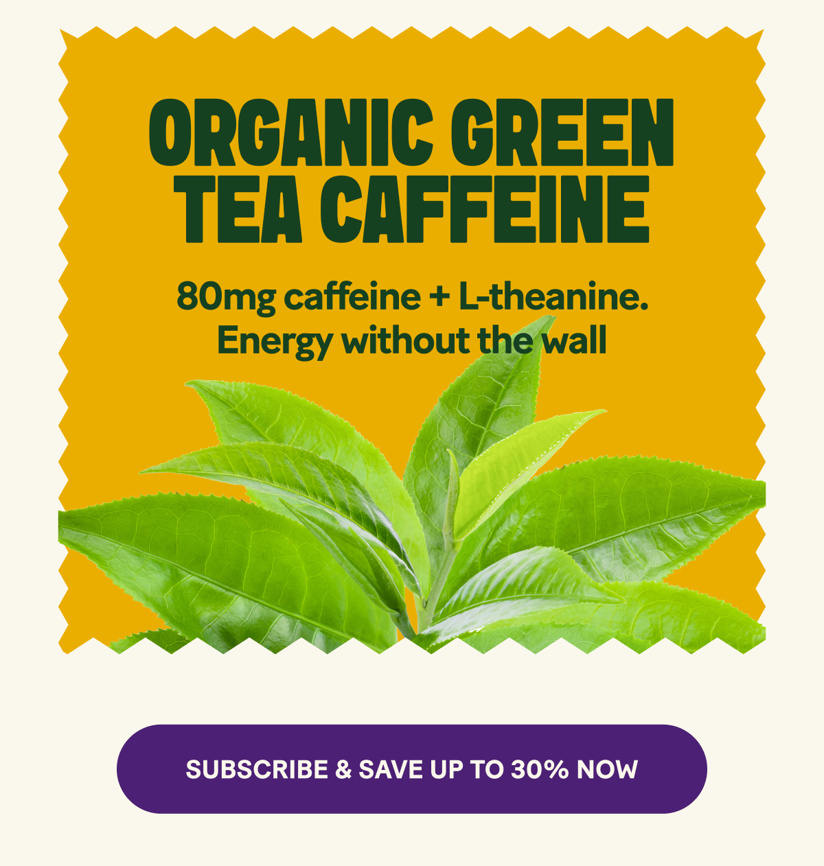 ORGANIC GREEN TEA CAFFEINE