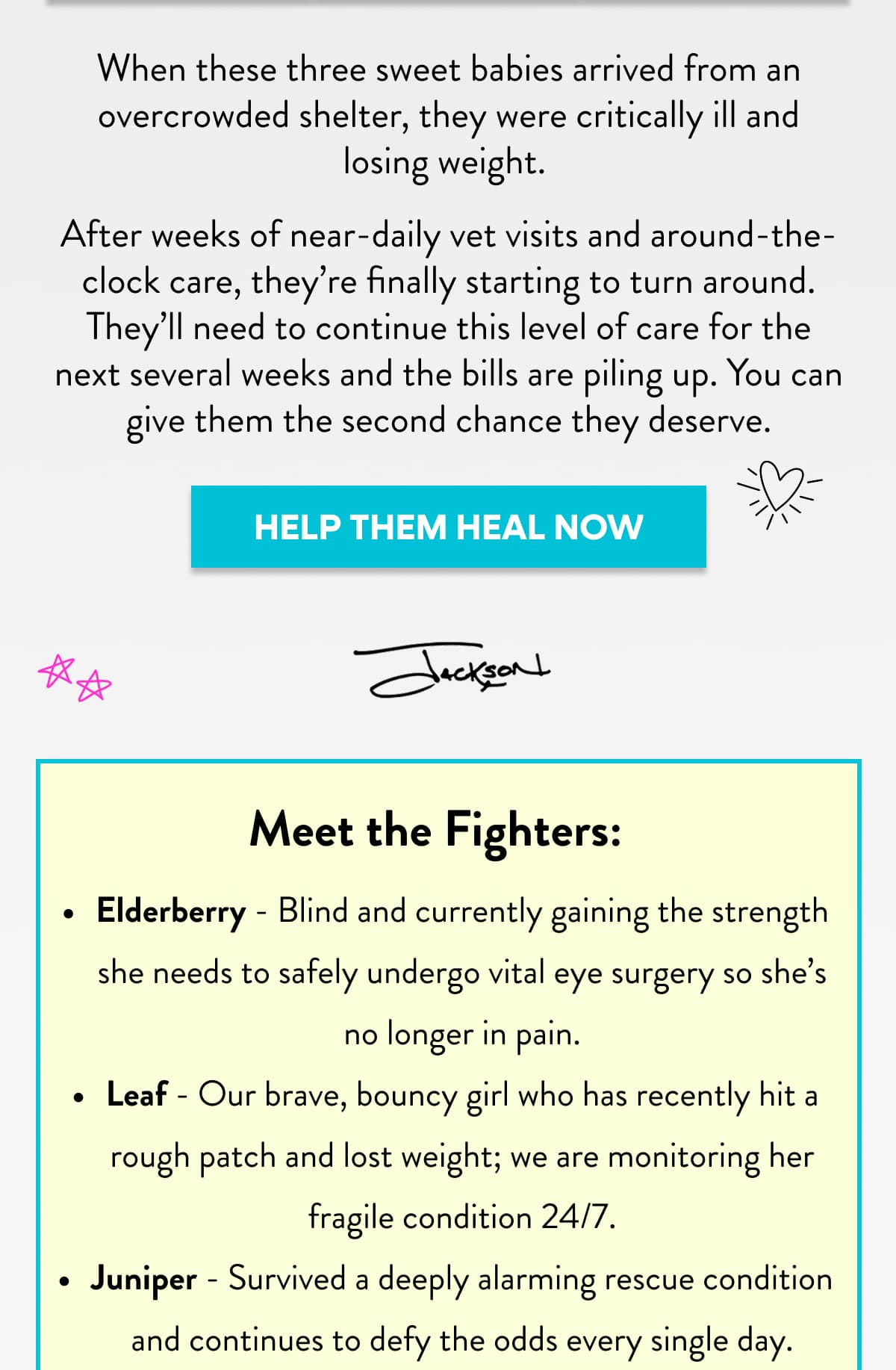 When Elderberry, Leaf, and Juniper arrived from an overcrowded shelter, their condition were serious. Thankfully, they've made incredible progress. But the road to recovery is still long and medical bills are piling up.
