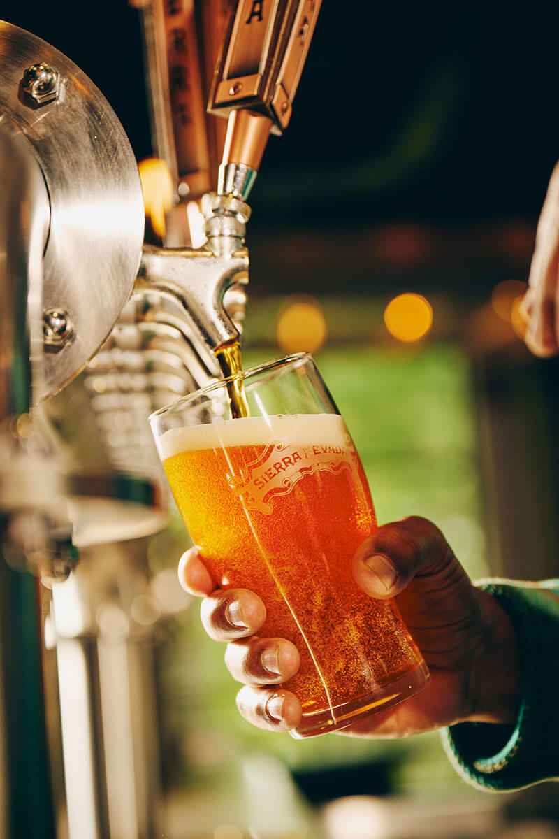Pouring a draught pint of Pale Ale