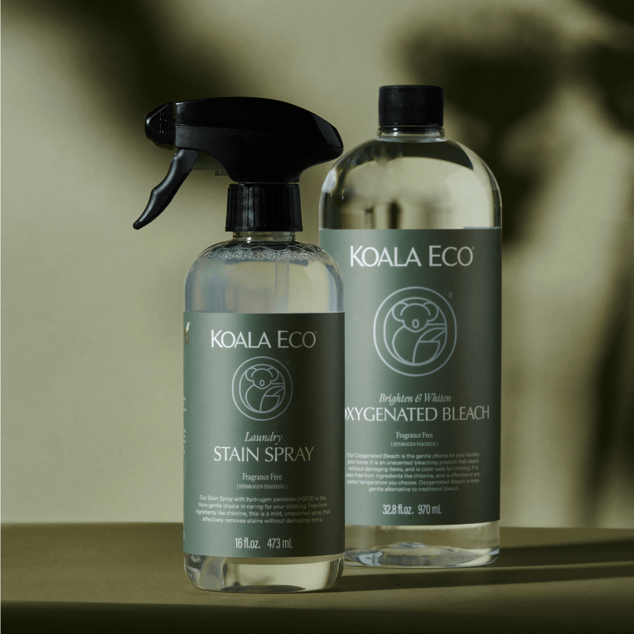 Stain Spray & Oxygenated Bleach