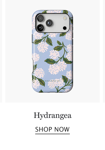 hydrangea