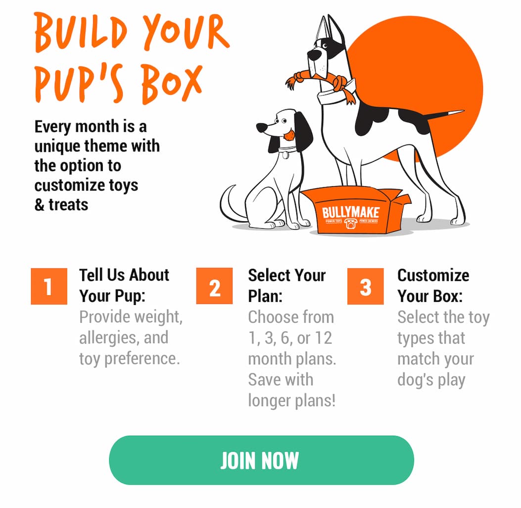 Bullymake Dog Toy Subscription Box