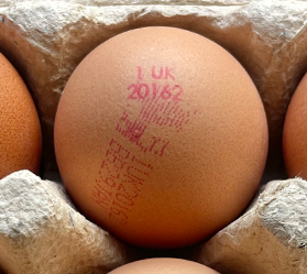 An egg in a cardboard box, with a red stamp that reads '1 UK 20162', meaning that it's free range