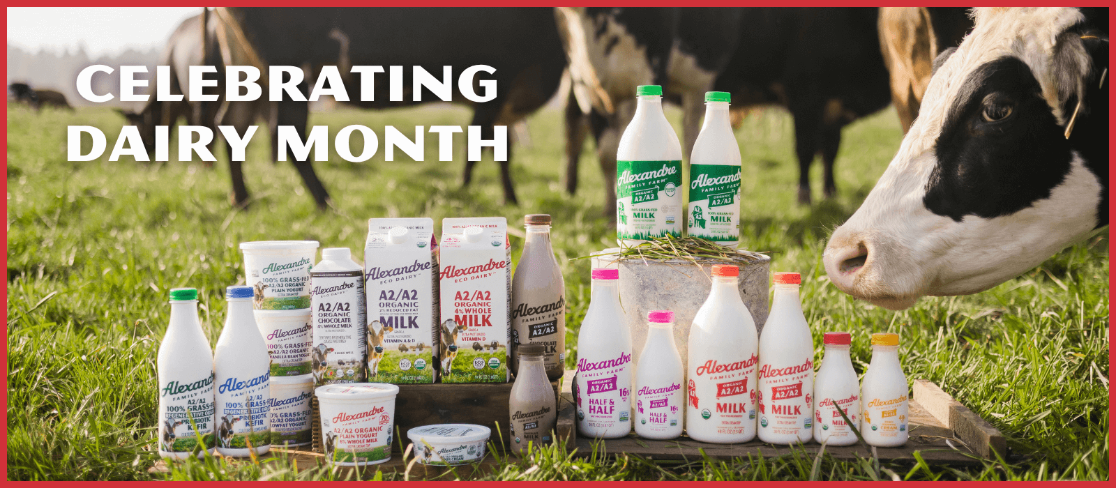 Alexandre Family Farm dairy products in the field