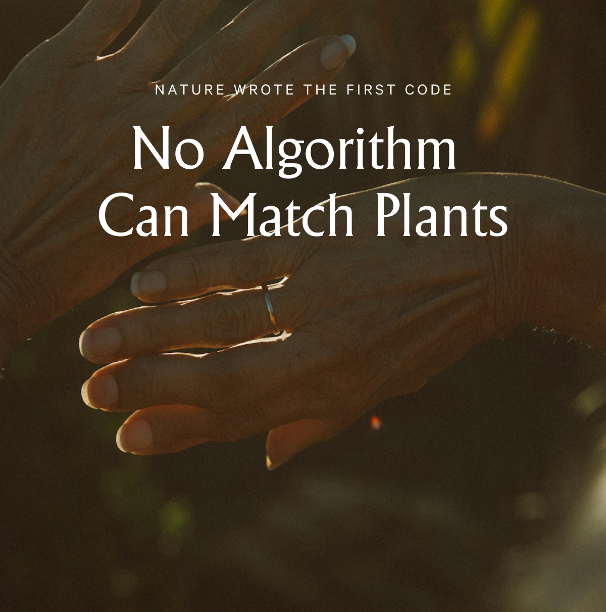 No Algorithm  Can Match Plants