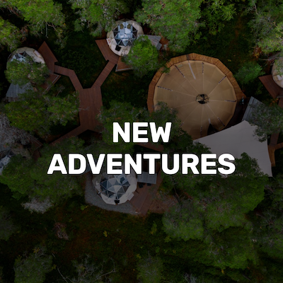 Newsletter-3-NewAdventures