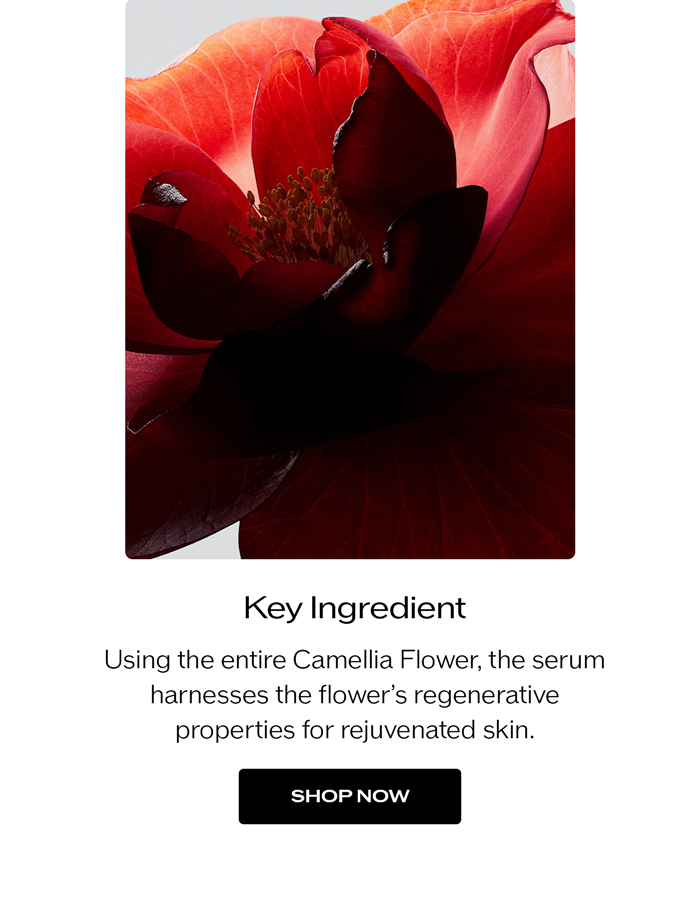 Key Ingredients