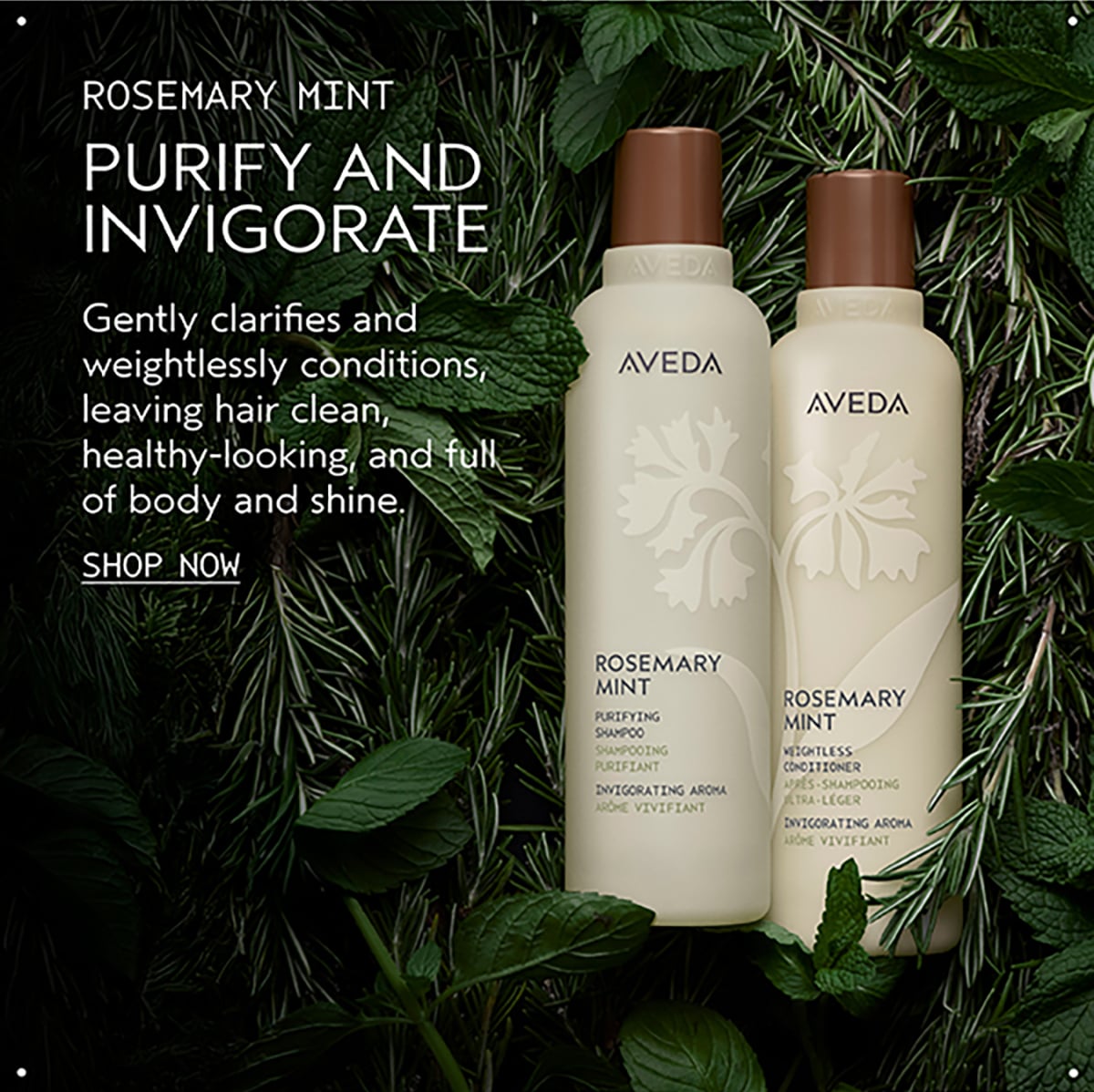 ROSEMARY MINT | PURIFY AND INVIGORATE | Gently clarifies and weightlessly conditions, leaving hair clean, healthy-looking, and full of body and shine. | SHOP NOW