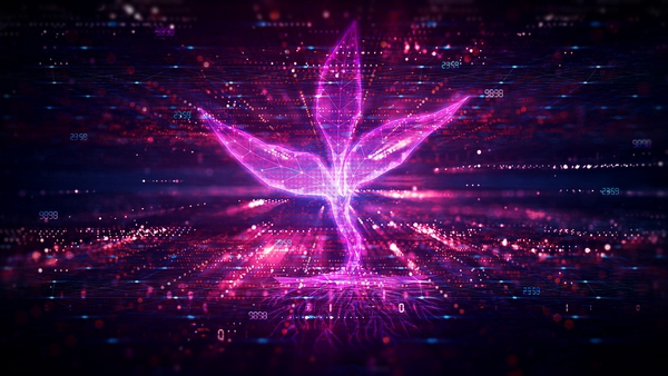 glowing pink computerized plant
