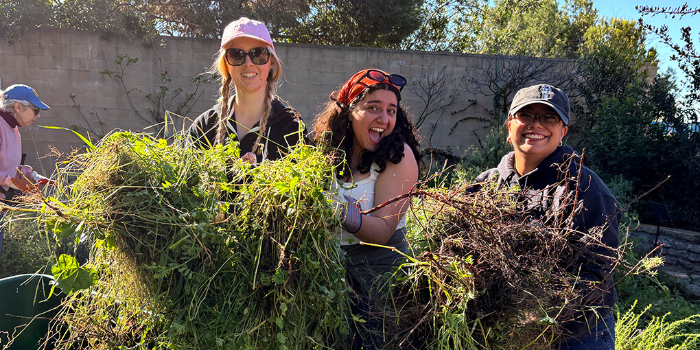 Volunteers pull weeds at an ocean friendly garden.
