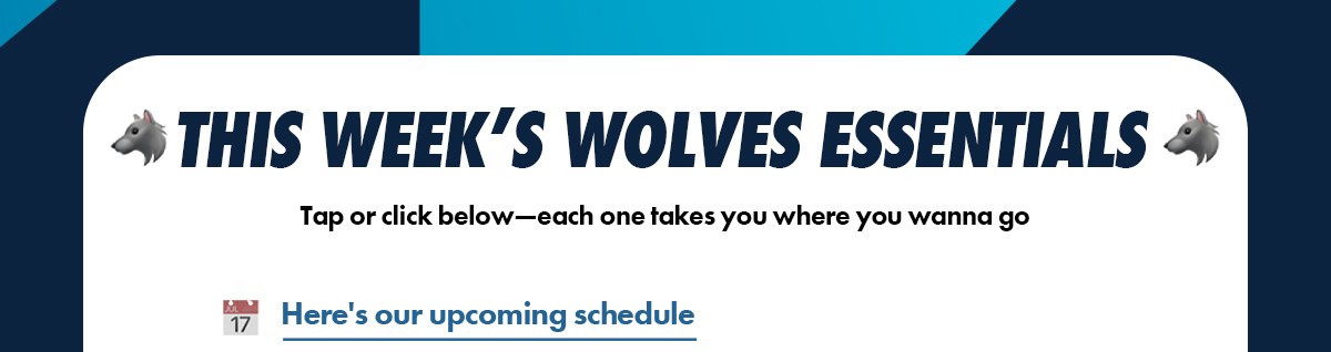 Upcoming Schedule