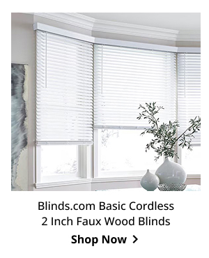 Blinds.com Basic Cordless 2 Inch Faux Wood Blinds | Shop Now >