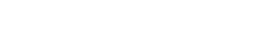 COMMAND PERFORMANCE