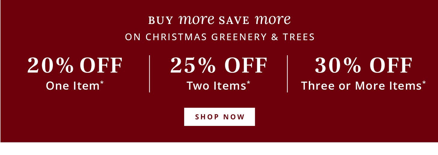 Buy More Save More on Christmas Greenery & Trees