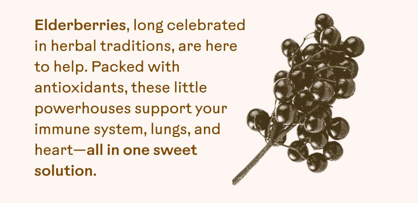 Elderberries, long celebrated in herbal traditions, are here to help. Packed with antioxidants, these little powerhouses support your immune system, lungs, and heart—all in one sweet solution.